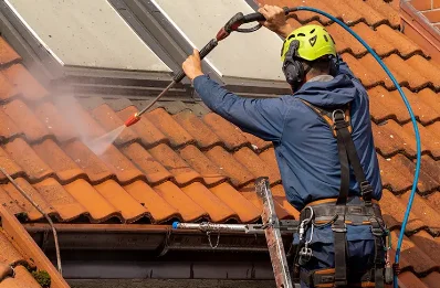 Démoussage et hydrofuge de toiture à Bost